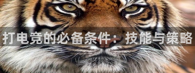 泛亚电竞平台官方最新版：打电竞的必备条件：技能与策略