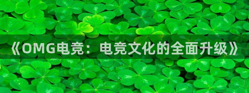 泛亚电竞平：《OMG电竞：电竞文化的全面升级》