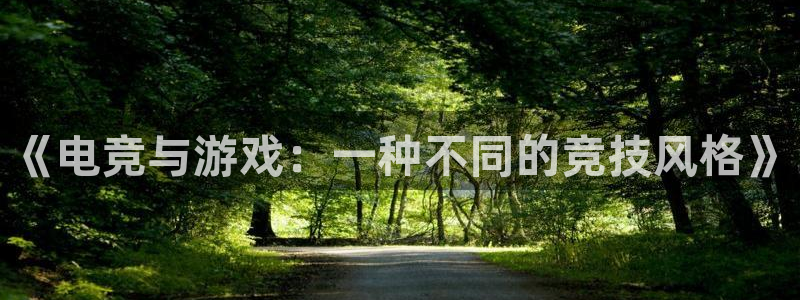 泛亚电竞app官网入口：《电竞与游戏：一种不同的竞技风格》