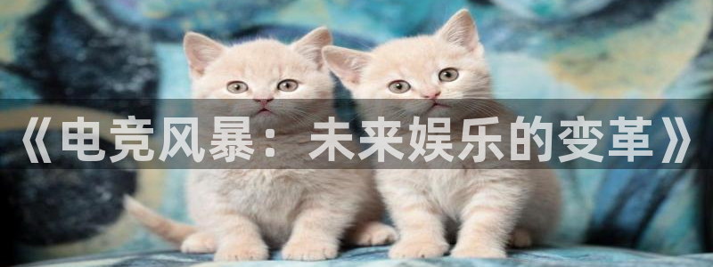 泛亚电竞首页app官方下载：《电竞风暴：未来娱乐的变革》