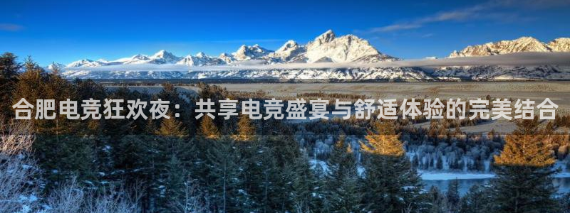 泛亚电竞和im电竞的区别：合肥电竞狂欢夜：共享电竞盛宴与舒适体验的完美结合