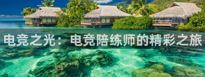 泛亚电竞平台手机版：电竞之光：电竞陪练师的精彩之旅