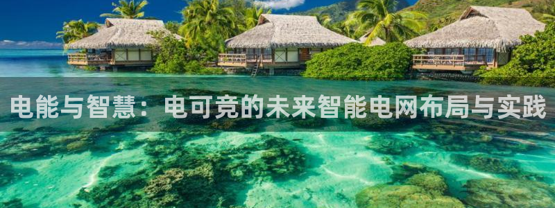 泛亚电竞内部：电能与智慧：电可竞的未来智能电网布局与实践